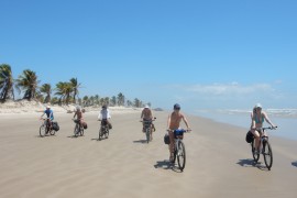 Costa dos coqueiros en bici por las playas de Bahia